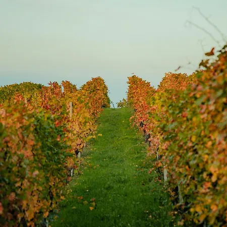 Casa Gavarino Apartamento *